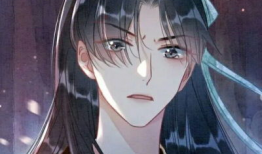 黑莲花攻略手册免费漫画,宫廷权谋，逆袭之路